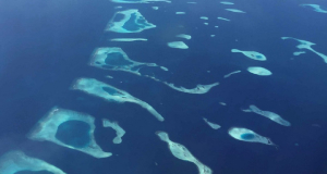  CANAREEF RESORT MALDIVES 4****